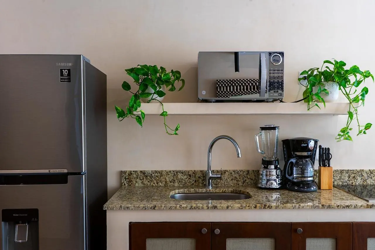 1Br Apartment With Private Pool And Rooftop Access Tulum A103