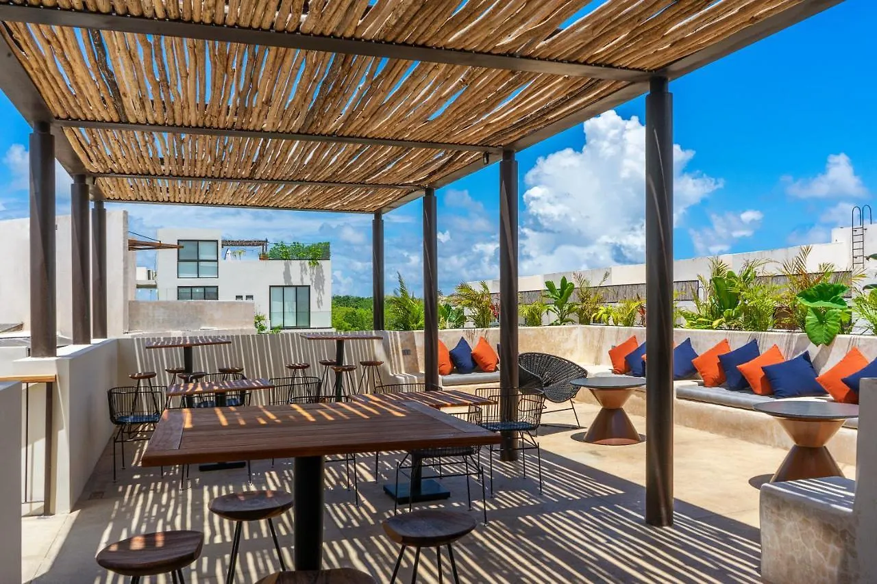 1Br Apartment With Private Pool And Rooftop Access Tulum A103